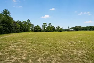 15355 SE 113th Street Rd, Ocklawaha, FL 32179 - Photo 55