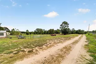 15355 SE 113th Street Rd, Ocklawaha, FL 32179 - Photo 61