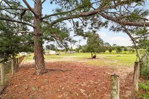 15355 SE 113th Street Rd, Ocklawaha, FL 32179 - Photo 63