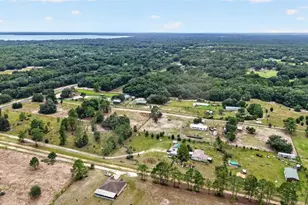 15355 SE 113th Street Rd, Ocklawaha, FL 32179 - Photo 51
