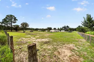 15355 SE 113th Street Rd, Ocklawaha, FL 32179 - Photo 65