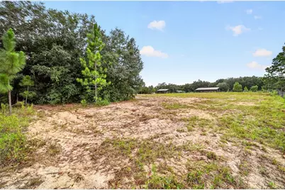 15355 SE 113th Street Road, Ocklawaha, FL 32179 - Photo 75