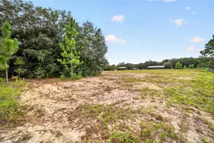 15355 SE 113th Street Rd, Ocklawaha, FL 32179 - Photo 75