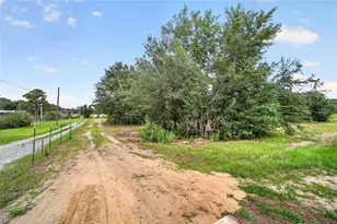 15355 SE 113th Street Rd, Ocklawaha, FL 32179 - Photo 59