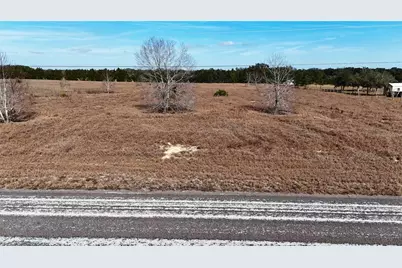 Hammock Grove Road, Groveland, FL 34736 - Photo 3