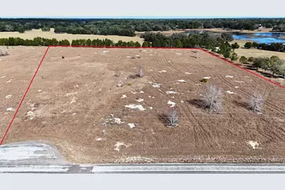 Hammock Grove Road, Groveland, FL 34736 - Photo 1