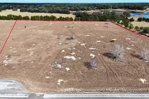 Hammock Grove Rd, Groveland, FL 34736 - Photo 1