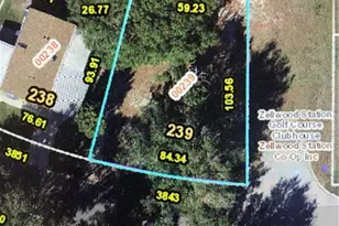 3843 N Citrus Cir, Zellwood, FL 32798 - Photo 1