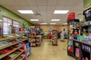 8973 Cat Palm Rd, Kissimmee, FL 34747 - Photo 31