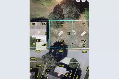 3963 Greenbluff Road #813, Zellwood, FL 32798 - Photo 1