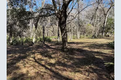 18630 Bradshaw Road, Dade City, FL 33523 - Photo 41