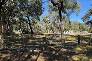 18630 Bradshaw Rd, Dade City, FL 33523 - Photo 1