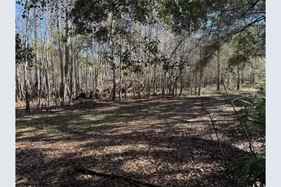 18630 Bradshaw Road, Dade City, FL 33523 - Photo 37