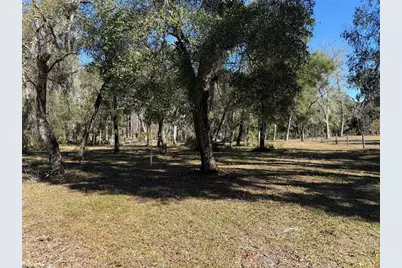 18630 Bradshaw Road, Dade City, FL 33523 - Photo 35