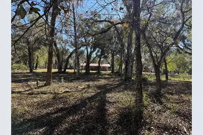 18630 Bradshaw Road, Dade City, FL 33523 - Photo 39