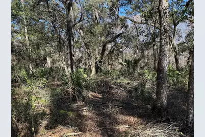 18630 Bradshaw Road, Dade City, FL 33523 - Photo 33