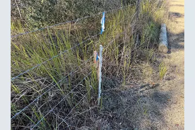 18630 Bradshaw Road, Dade City, FL 33523 - Photo 45