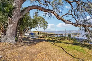 37048 County Rd 452, Grand Island, FL 32735 - Photo 61