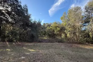 Harris Lake Rd, Lady Lake, FL 32159 - Photo 1