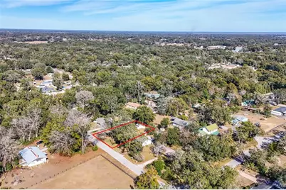 31302 Orange Street, Sorrento, FL 32776 - Photo 33