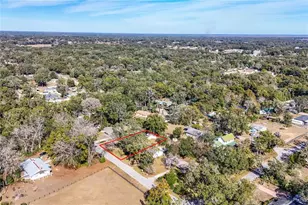 31302 Orange St, Sorrento, FL 32776 - Photo 33