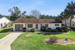 26041 Newcombe Cir, Leesburg, FL 34748 - Photo 1