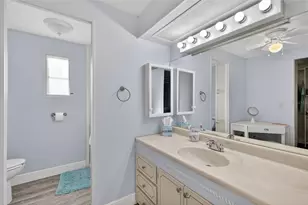 705 Falcon Dr, Tavares, FL 32778 - Photo 19