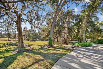 21944 Belgian Court, Mount Dora, FL 32757 - Photo 33