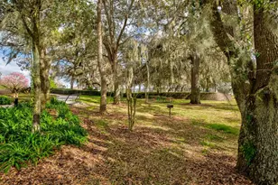 21944 Belgian Ct, Mount Dora, FL 32757 - Photo 51