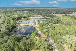 24751 SE Hwy 450, Umatilla, FL 32784 - Photo 67