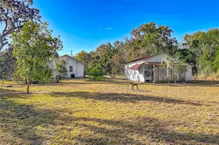 19037 Ravenswood Rd, Altoona, FL 32702 - Photo 5