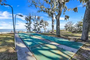 17 E Live Oak Ave, Yalaha, FL 34797 - Photo 43