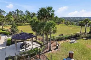 910 Zeek Ridge Ct, Clermont, FL 34715 - Photo 83