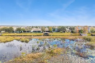 1127 Whitewater Bay Dr, Groveland, FL 34736 - Photo 47