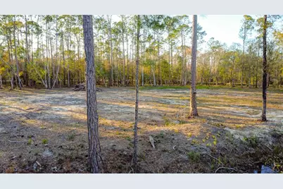 0 State Road 33, Clermont, FL 34714 - Photo 11