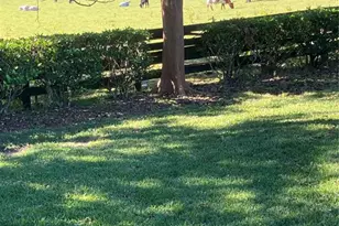 17457 SE 76th Flintlock Terrace, The Villages, FL 32162 - Photo 17