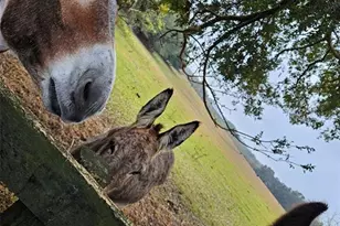 17457 SE 76th Flintlock Terrace, The Villages, FL 32162 - Photo 3