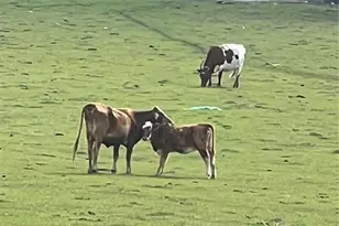 17457 SE 76th Flintlock Terrace, The Villages, FL 32162 - Photo 15