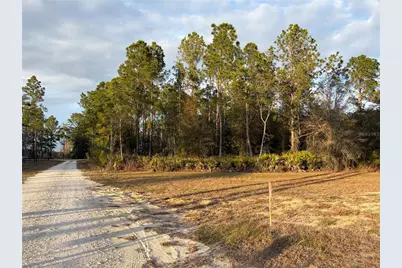 Oil Well Road, Clermont, FL 34714 - Photo 9