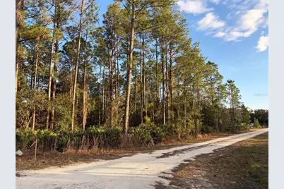 Oil Well Road, Clermont, FL 34714 - Photo 11