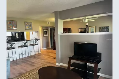 1051 S Highland Street #6B, Mount Dora, FL 32757 - Photo 7