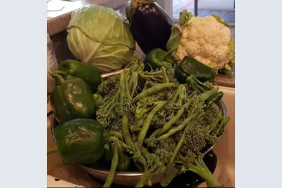 21046 County Road 33, Groveland, FL 34736 - Photo 61