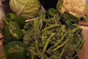 21046 County Rd 33, Groveland, FL 34736 - Photo 61