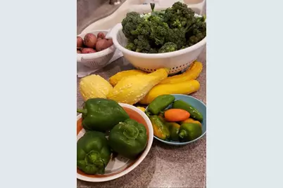 21046 County Road 33, Groveland, FL 34736 - Photo 57