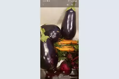 21046 County Road 33, Groveland, FL 34736 - Photo 47