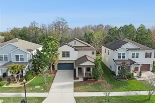 8816 Shady Pavillion Ct, Land O Lakes, FL 34637 - Photo 1