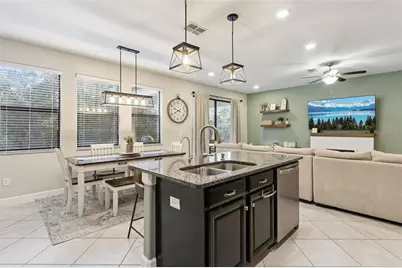 8816 Shady Pavillion Court, Land O Lakes, FL 34637 - Photo 11