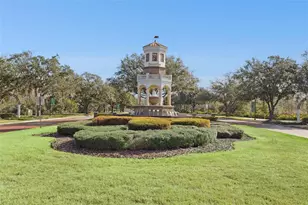 8816 Shady Pavillion Ct, Land O Lakes, FL 34637 - Photo 59