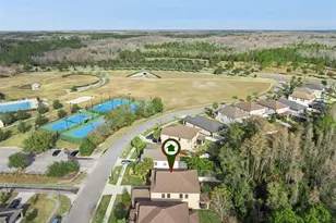 8816 Shady Pavillion Ct, Land O Lakes, FL 34637 - Photo 55