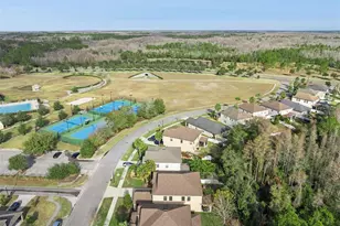 8816 Shady Pavillion Ct, Land O Lakes, FL 34637 - Photo 55